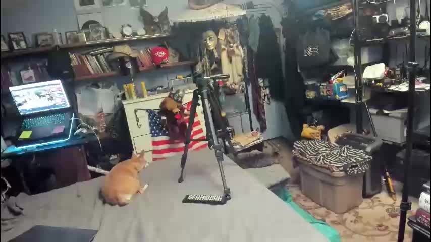 pink_black Приват Записи 2026-01-17