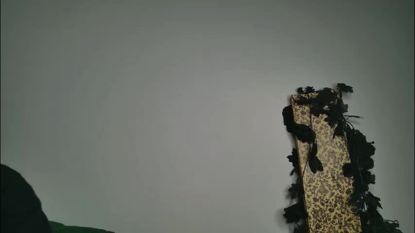 jackdesfeux Приват Записи 2026-01-17