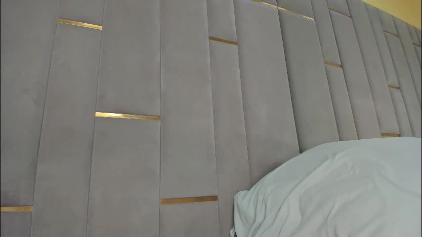 evalims Приват Записи 2026-01-17