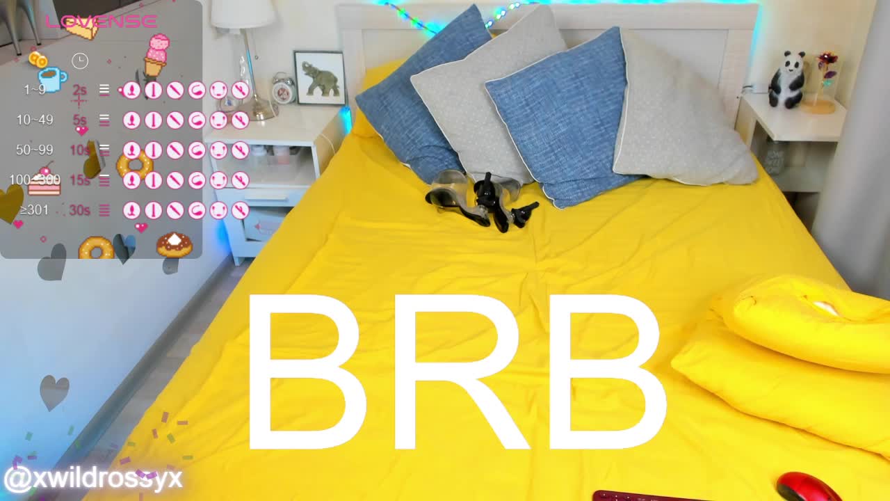 wildrossy Приват Записи 2026-01-18