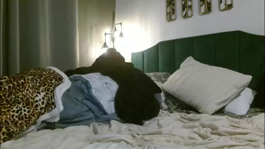 hazel_skye Приват Записи 2026-01-18