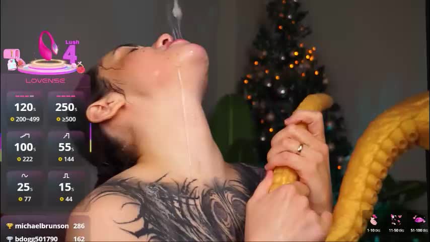 evarabbit Приват Записи 2026-01-18