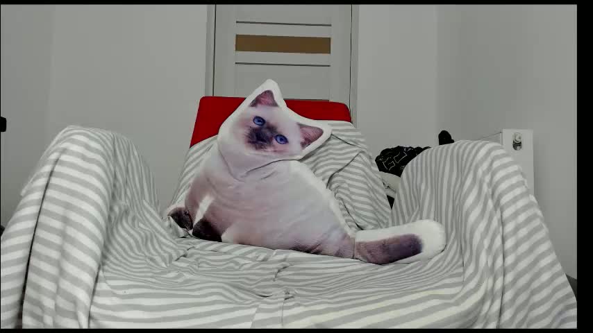 you_love_melisa Приват Записи 2026-01-18