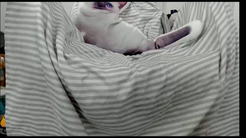 you_love_melisa Приват Записи 2026-01-18