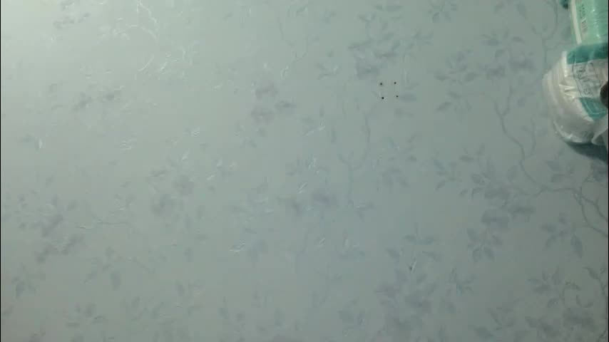 20dasha Приват Записи 2026-01-18