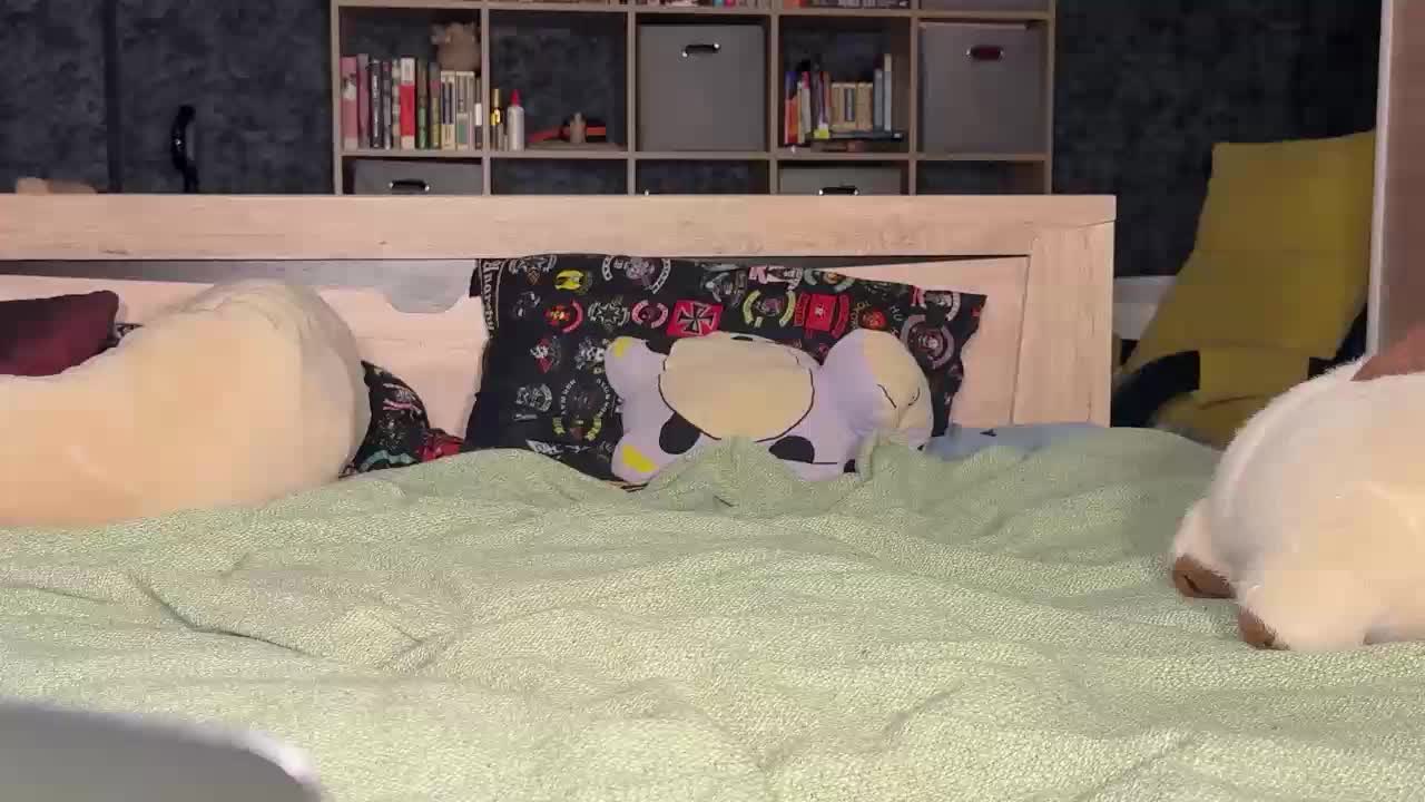 charmingaura1 Приват Записи 2026-01-18