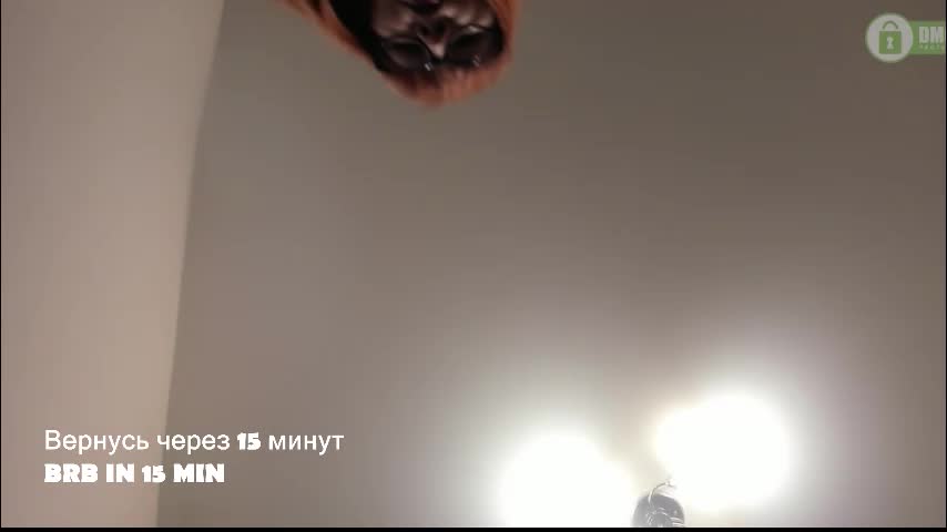 red_fox777 Приват Записи 2026-01-18