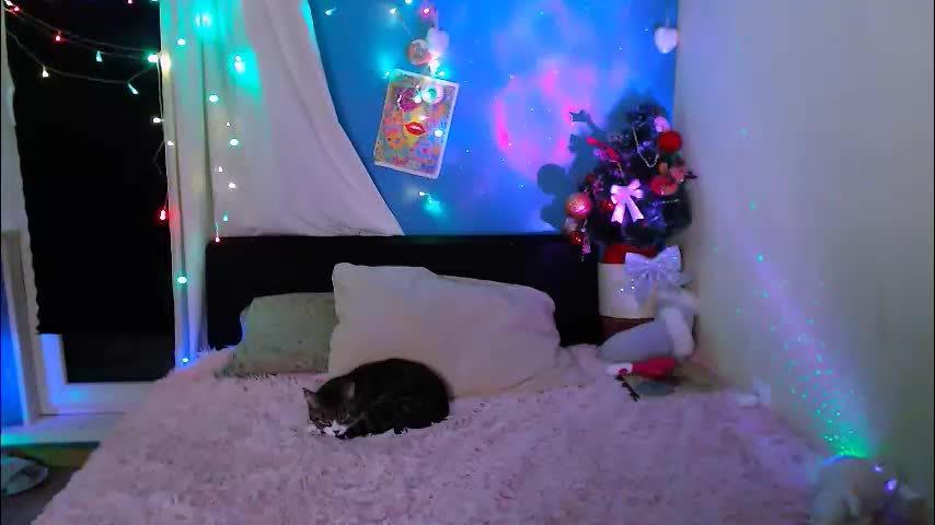 pufpufog Приват Записи 2026-01-18