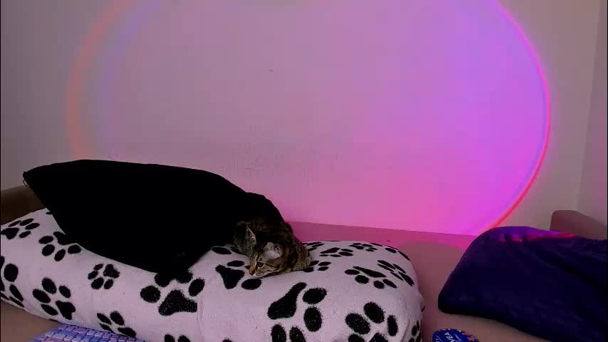 ladytrep Приват Записи 2026-01-18