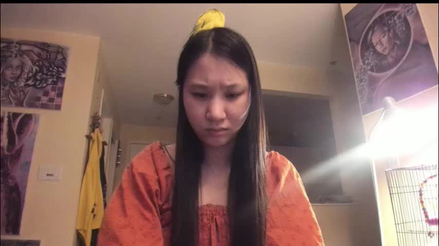 alizezaide Приват Записи 2026-01-19