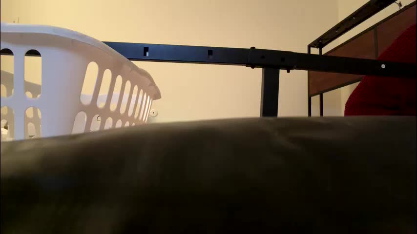 xpbunni Приват Записи 2026-01-19