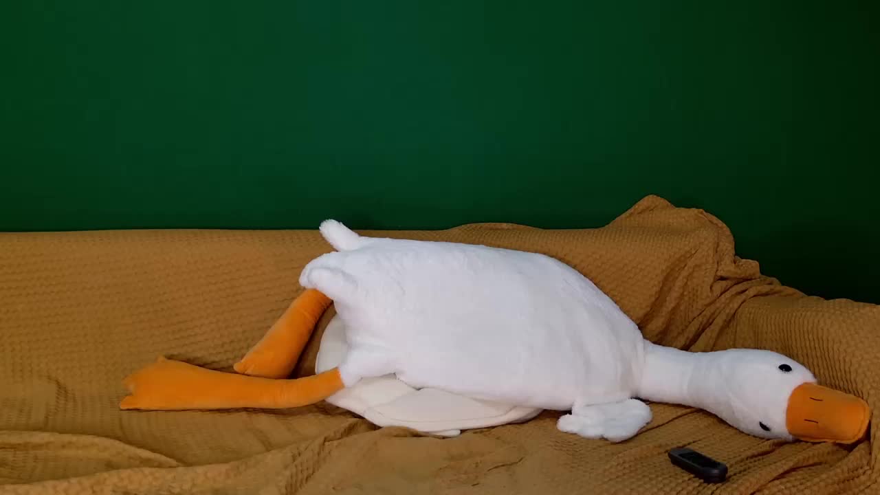 jane-booblegum Приват Записи 2026-01-19