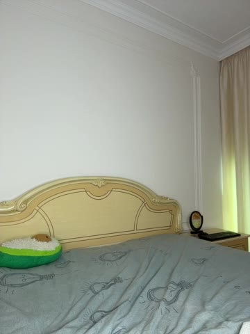 avolood Приват Записи 2026-01-19