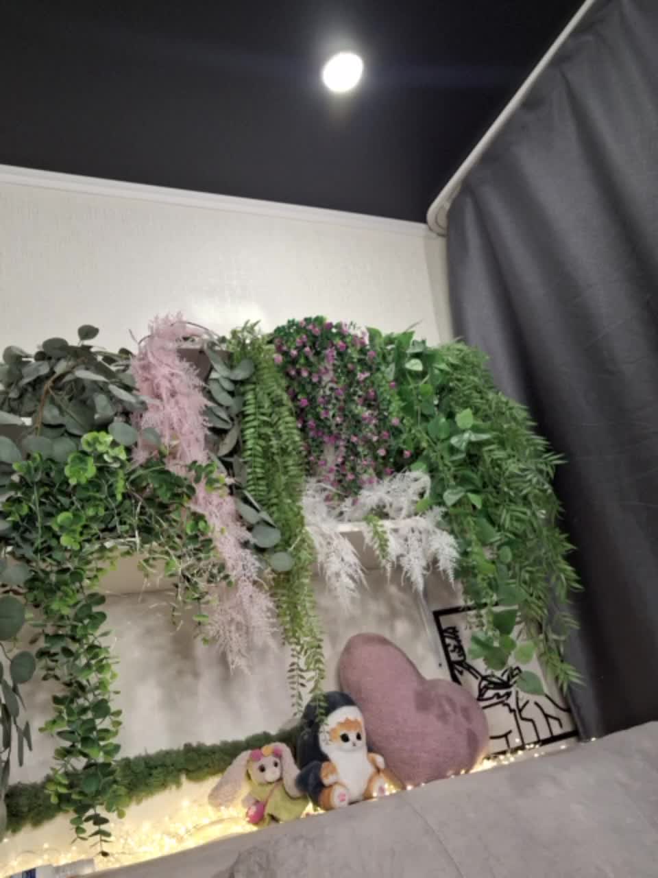 -scyrim- Приват Записи 2026-01-19