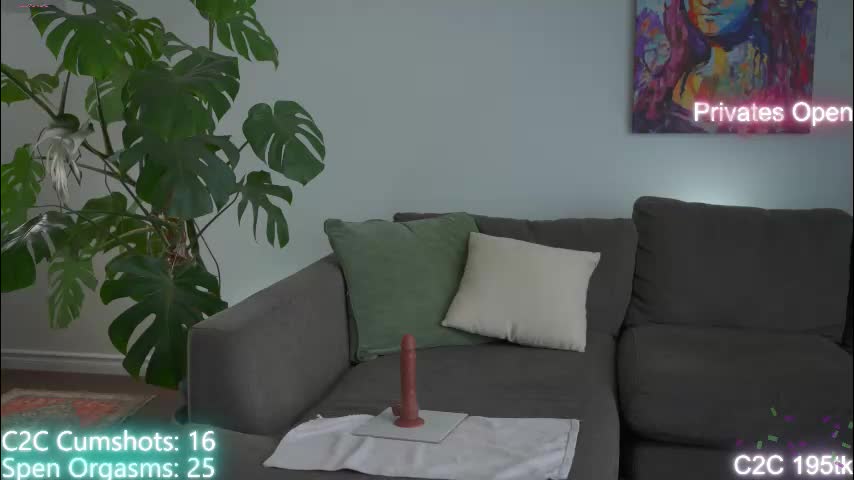 aspenwild Приват Записи 2026-01-20