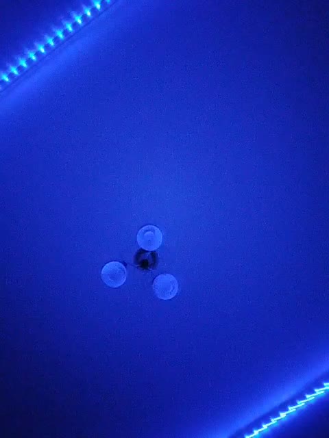 Leisan Приват Записи 2026-01-20