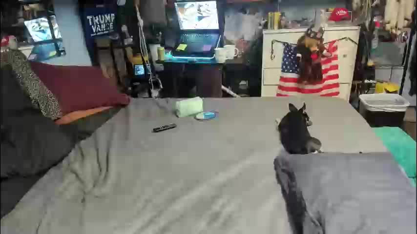 pink_black Приват Записи 2026-01-20