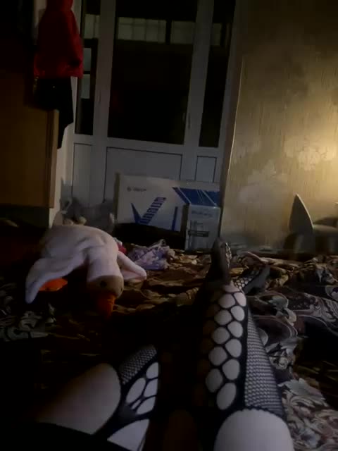 Velimir1231 Приват Записи 2026-01-21