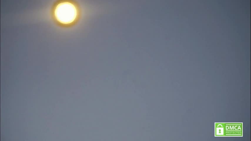 tashinapetitto Приват Записи 2026-01-21