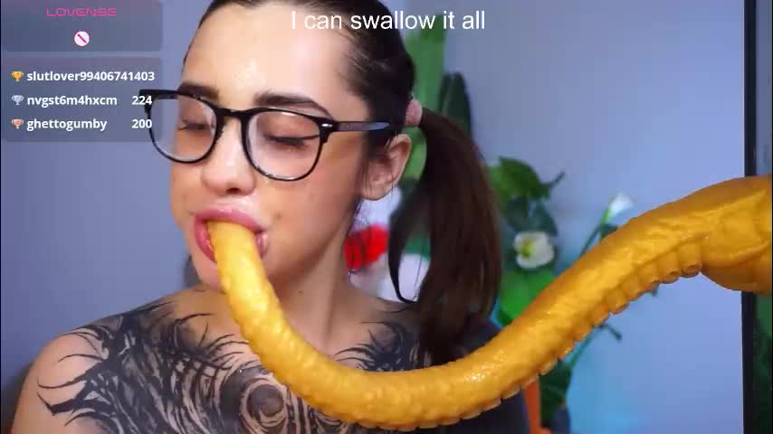 evarabbit Приват Записи 2026-01-21