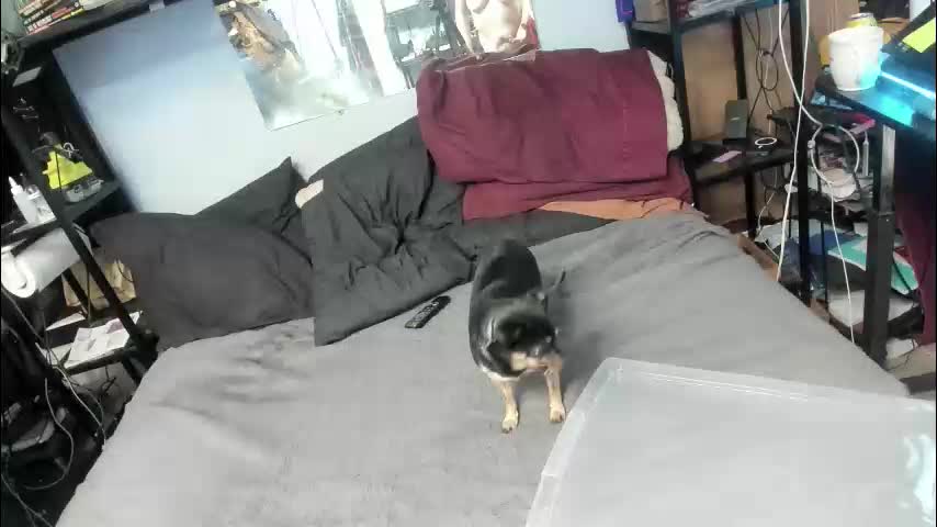 pink_black Приват Записи 2026-01-21