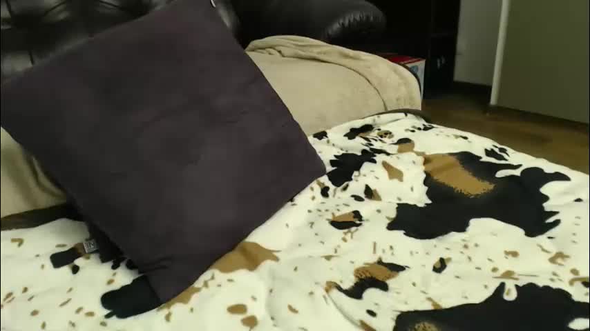 hot44cat Приват Записи 2026-01-22