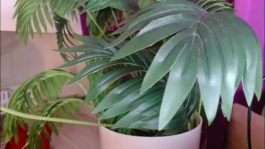 imcarrieberry Приват Записи 2026-01-22