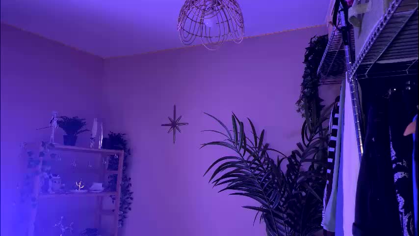 vixenp Приват Записи 2026-01-22