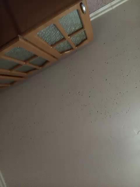 exnasisi Приват Записи 2026-01-22