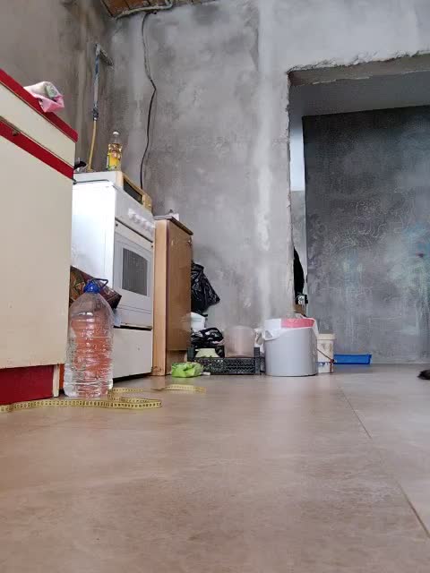 misReborn_Arieli Приват Записи 2026-01-22