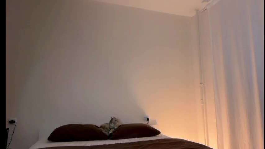 milky__way_ Приват Записи 2026-01-22