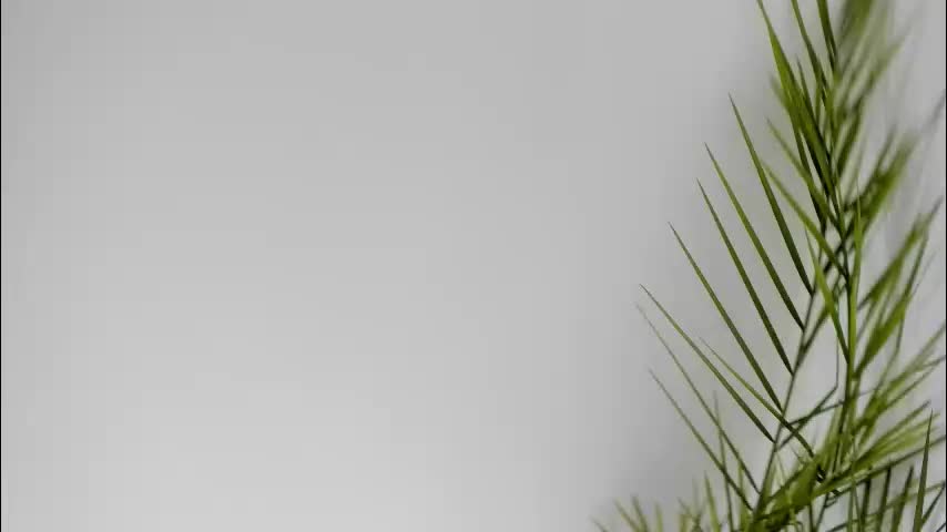 misspanthera Приват Записи 2026-01-22