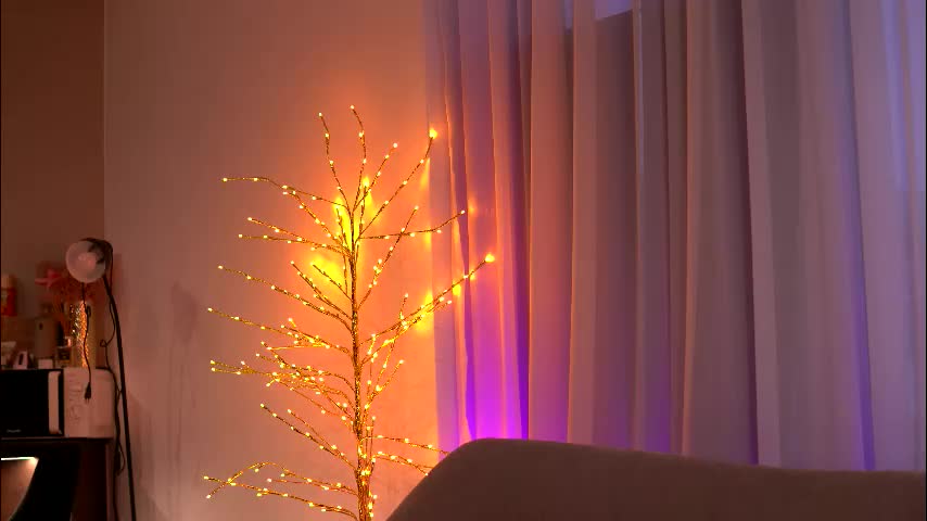 belleskye Приват Записи 2026-01-23