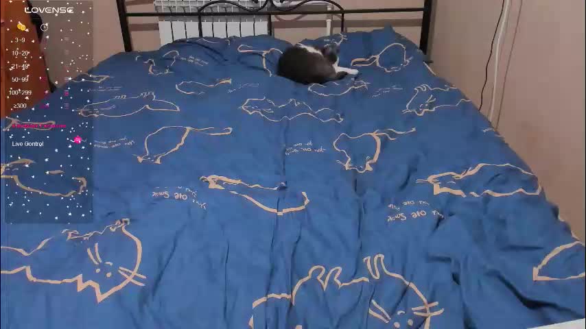 eva_zero Приват Записи 2026-01-23