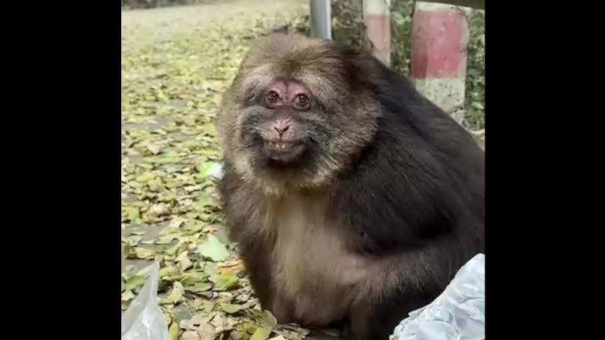 nervus_vagus Приват Записи 2026-01-23