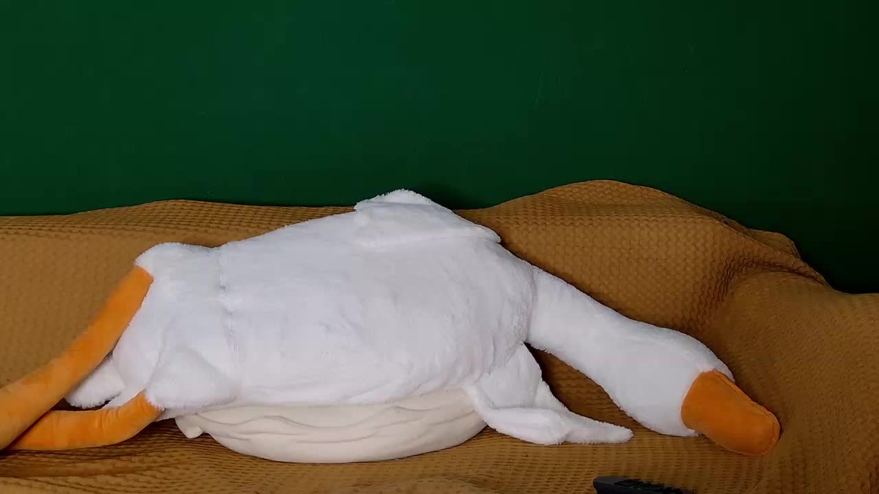 jane-booblegum Приват Записи 2026-01-23