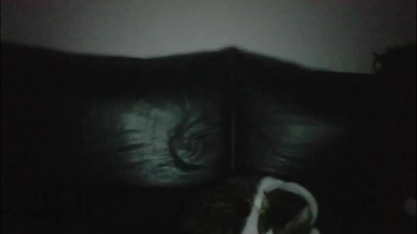 milagaborxx Приват Записи 2026-01-24