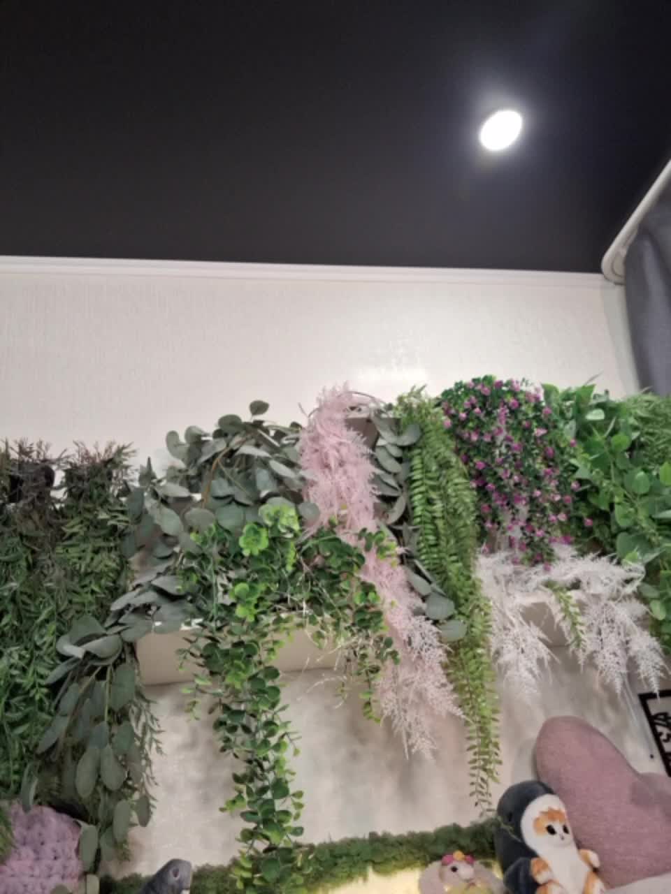 -scyrim- Приват Записи 2026-01-24