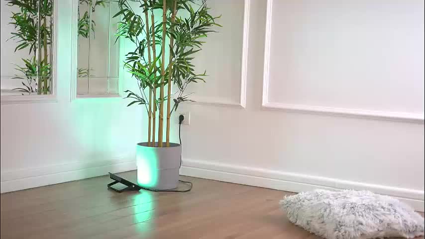 alexxiskye Приват Записи 2026-01-24