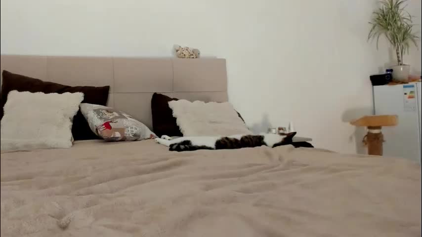 imogensy Приват Записи 2026-01-24