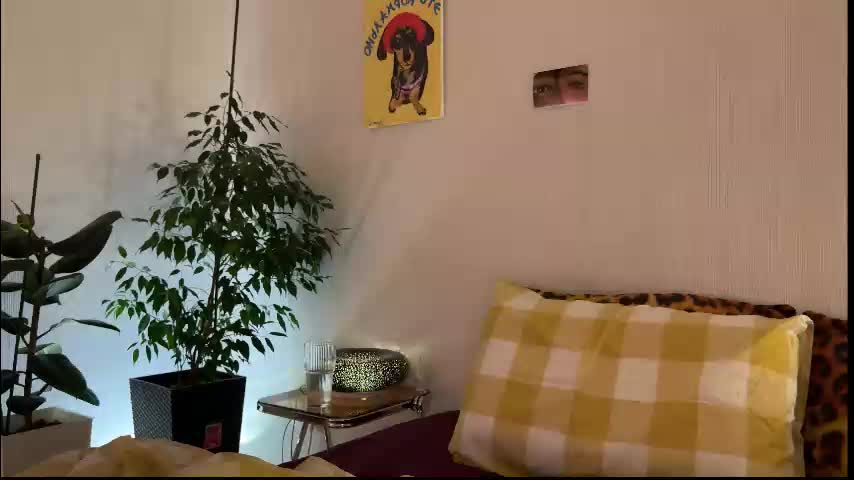 di_n_alex Приват Записи 2026-01-24