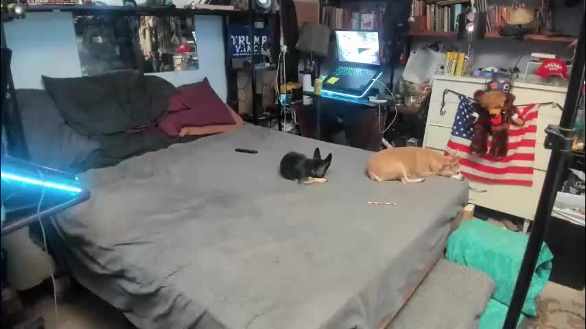 pink_black Приват Записи 2026-01-24