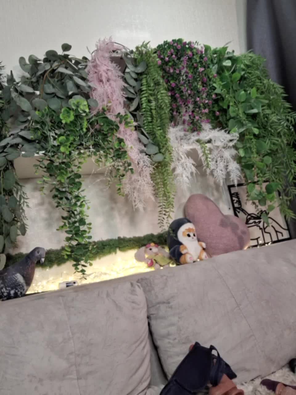 -scyrim- Приват Записи 2026-01-25