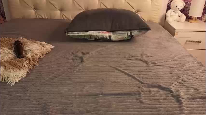 freyabyrne Приват Записи 2026-01-25