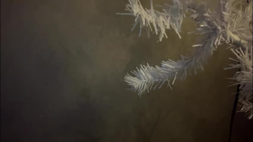 dunny_sexysusie69 Приват Записи 2026-01-25