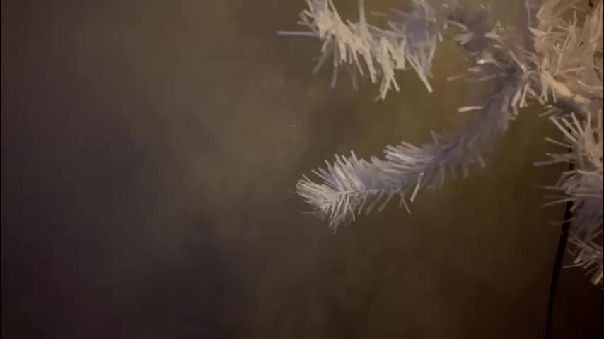 dunny_sexysusie69 Приват Записи 2026-01-25