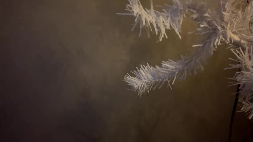 dunny_sexysusie69 Приват Записи 2026-01-25