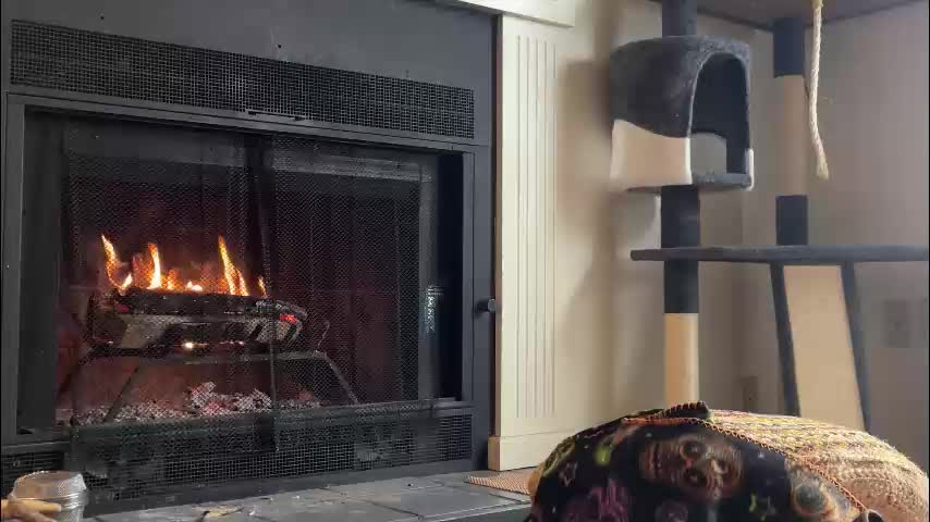 sweet_truffle Приват Записи 2026-01-26