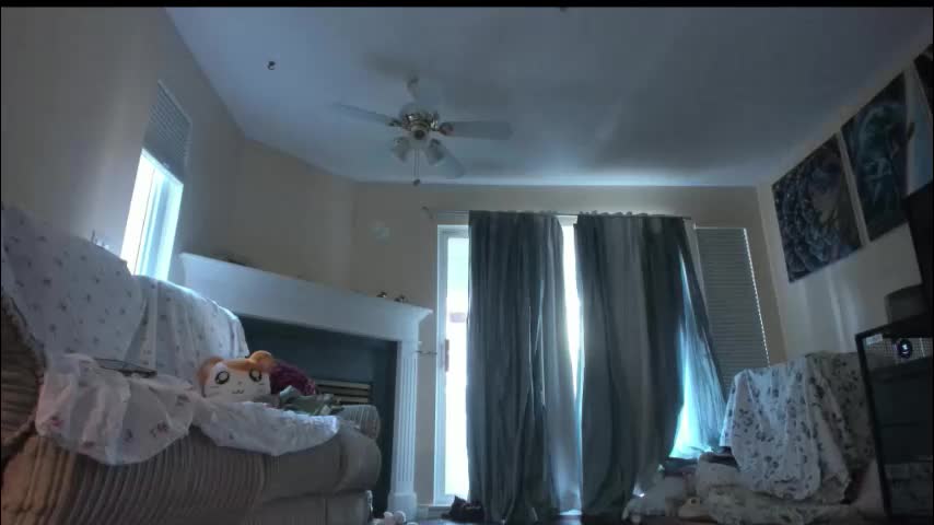 alizezaide Приват Записи 2026-01-26