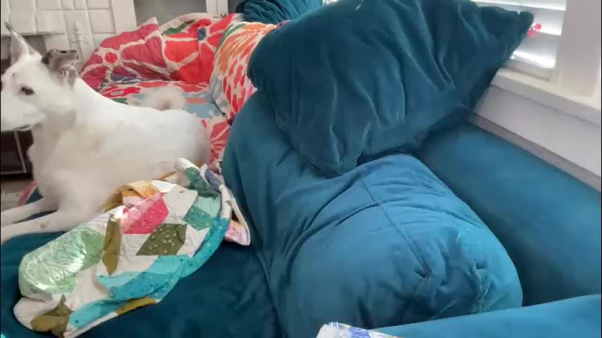 dreamyriri Приват Записи 2026-01-26